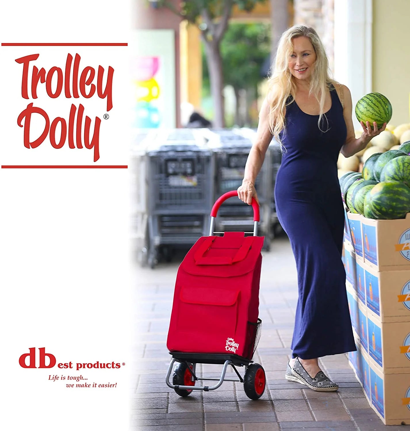Trolley Dolly