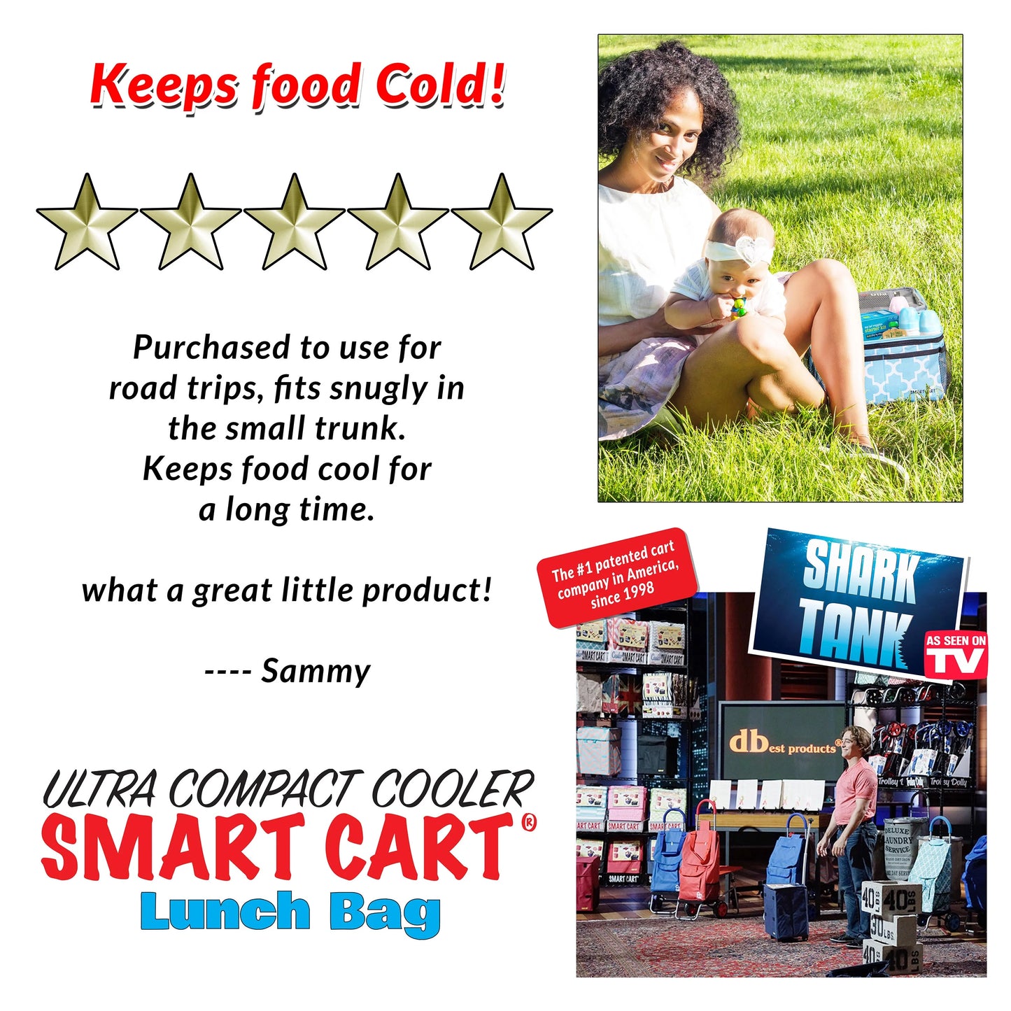 dbest products Ultra Compact Cooler Smart Cart Lunch Bag Insulated Tote Women Men Camping Accessories Beach Loncheras para Mujer Hombres, Moroccan Tile
