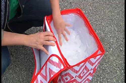 Cooler Smart Cart - Red Diamond